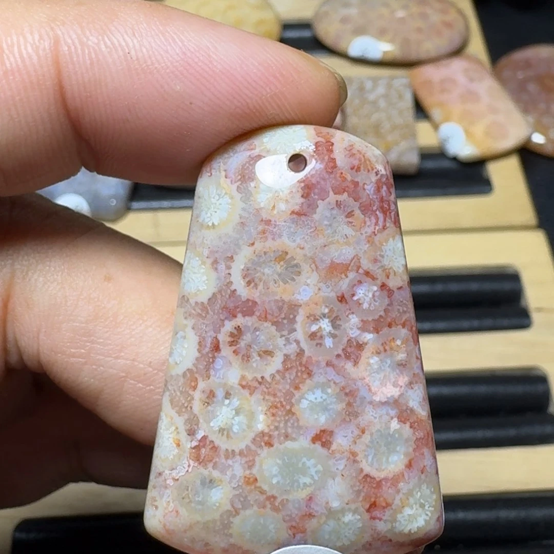 硅化珊瑚（珊瑚玉）纯天然色有机玉石未镶嵌