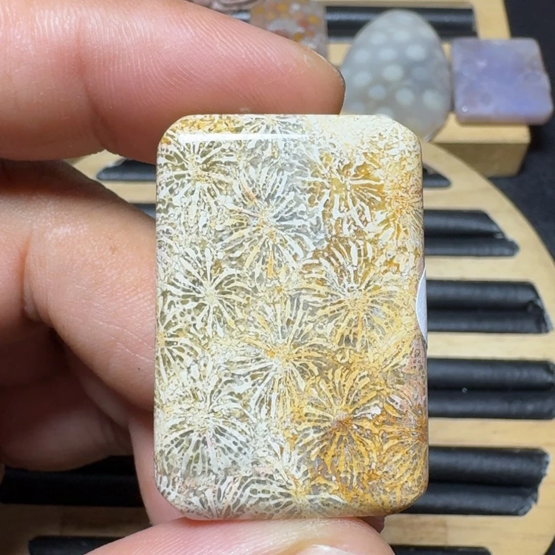 硅化珊瑚（珊瑚玉）纯天然色有机玉石未镶嵌