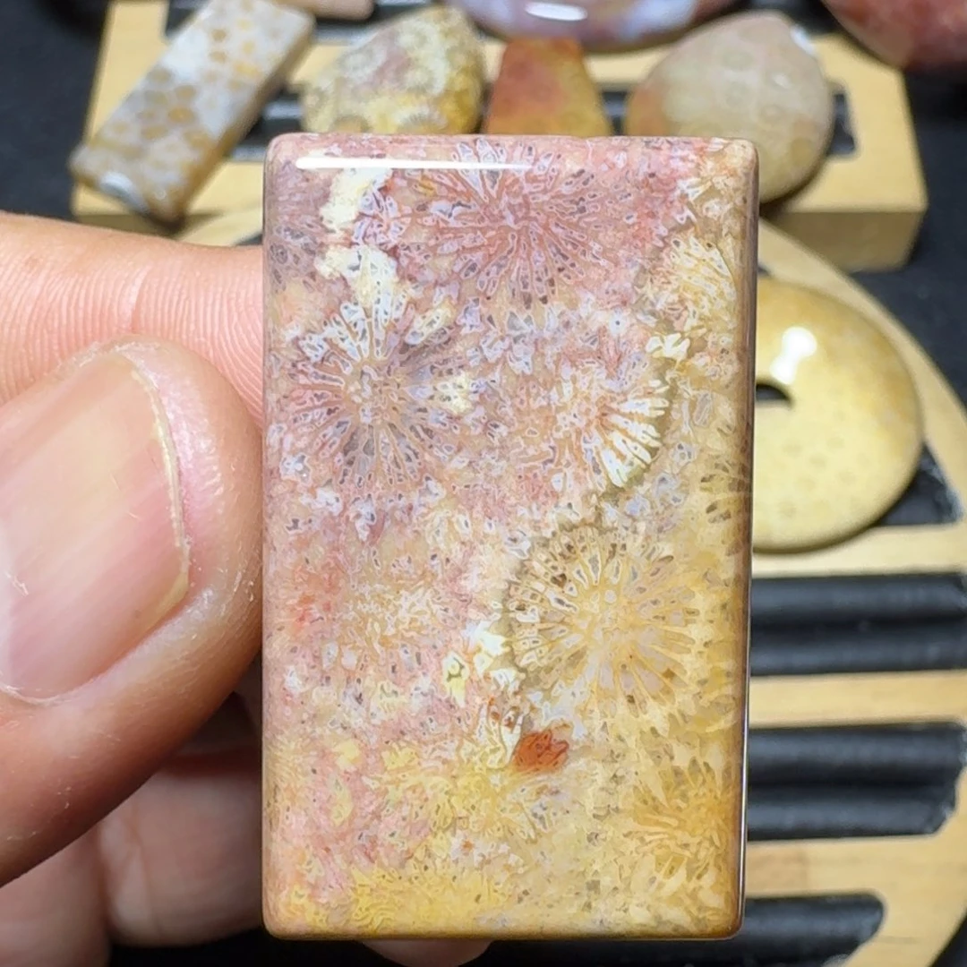 硅化珊瑚（珊瑚玉）纯天然色有机玉石未镶嵌