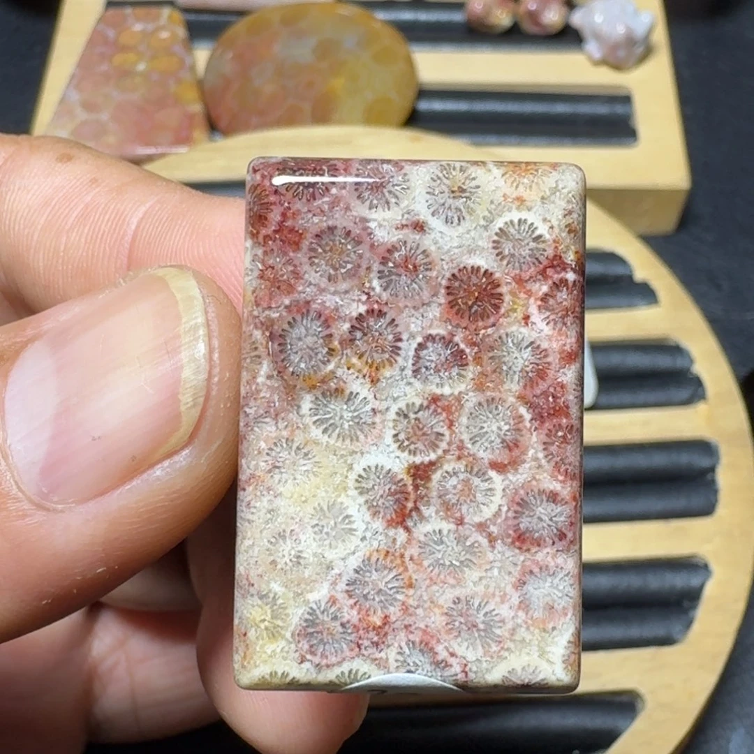 硅化珊瑚（珊瑚玉）纯天然色有机玉石未镶嵌