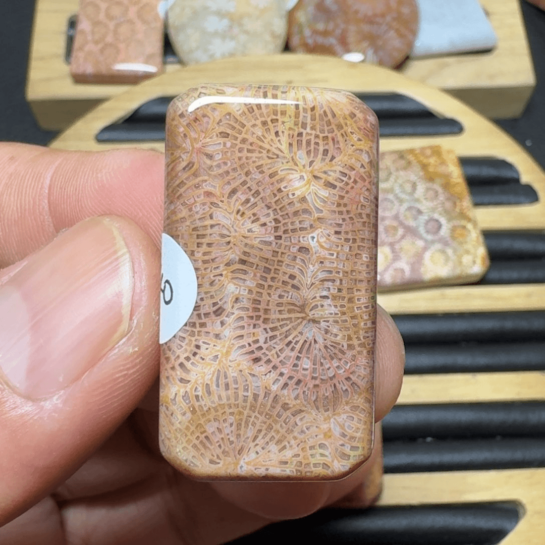 硅化珊瑚（珊瑚玉）纯天然有机玉石看好拍未镶嵌