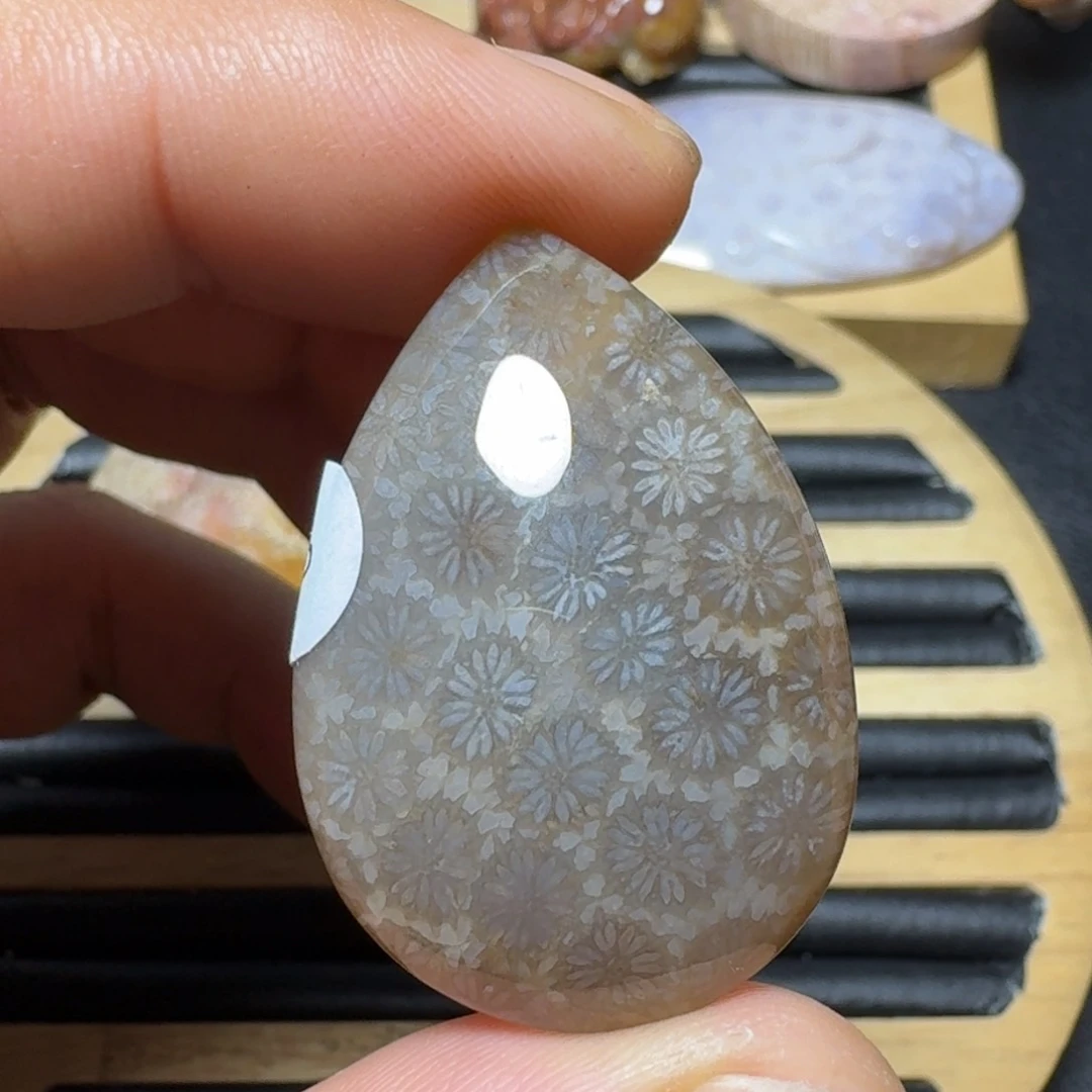 硅化珊瑚（珊瑚玉）纯天然色有机玉石未镶嵌