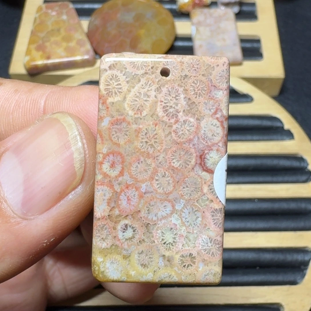 硅化珊瑚（珊瑚玉）纯天然色有机玉石未镶嵌