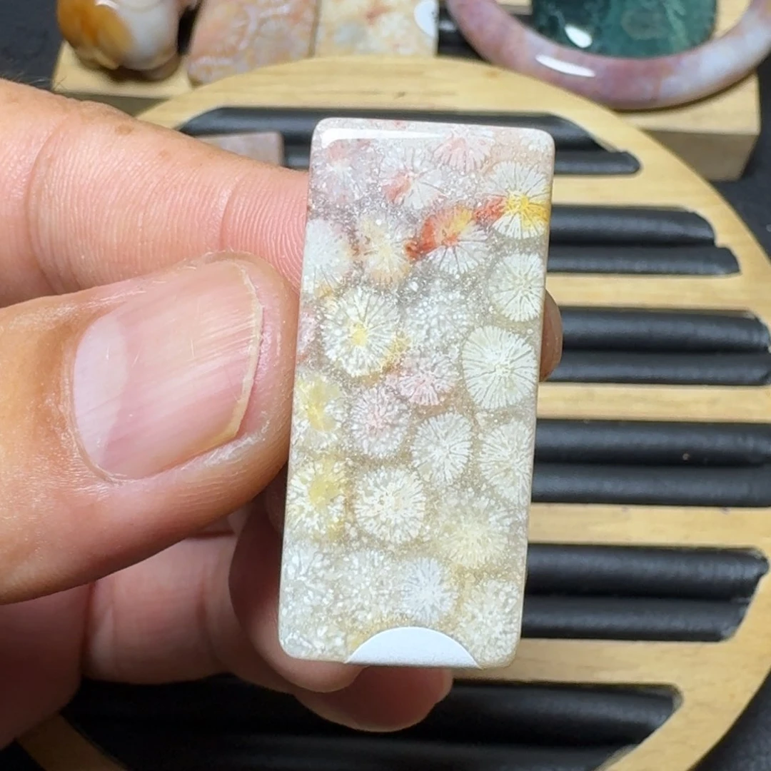 硅化珊瑚（珊瑚玉）纯天然色有机玉石看好拍未镶嵌