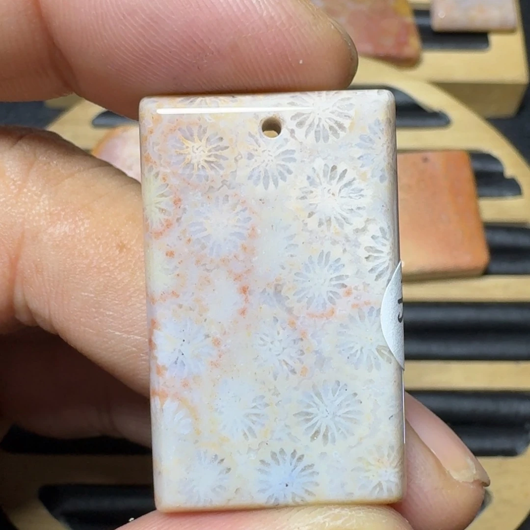 硅化珊瑚（珊瑚玉）纯天然色有机玉石未镶嵌