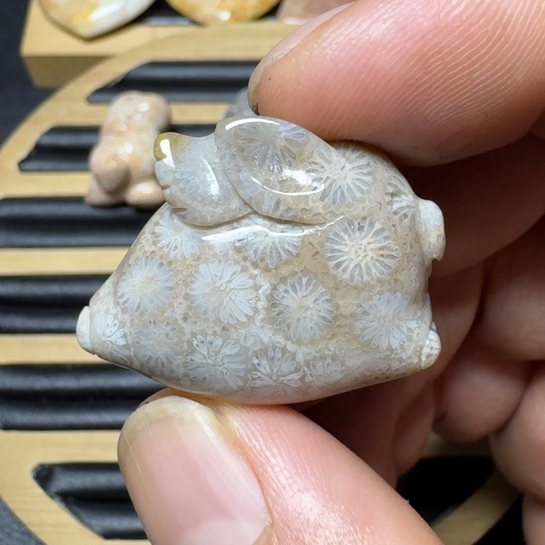 硅化珊瑚（珊瑚玉）纯天然色有机玉石未镶嵌