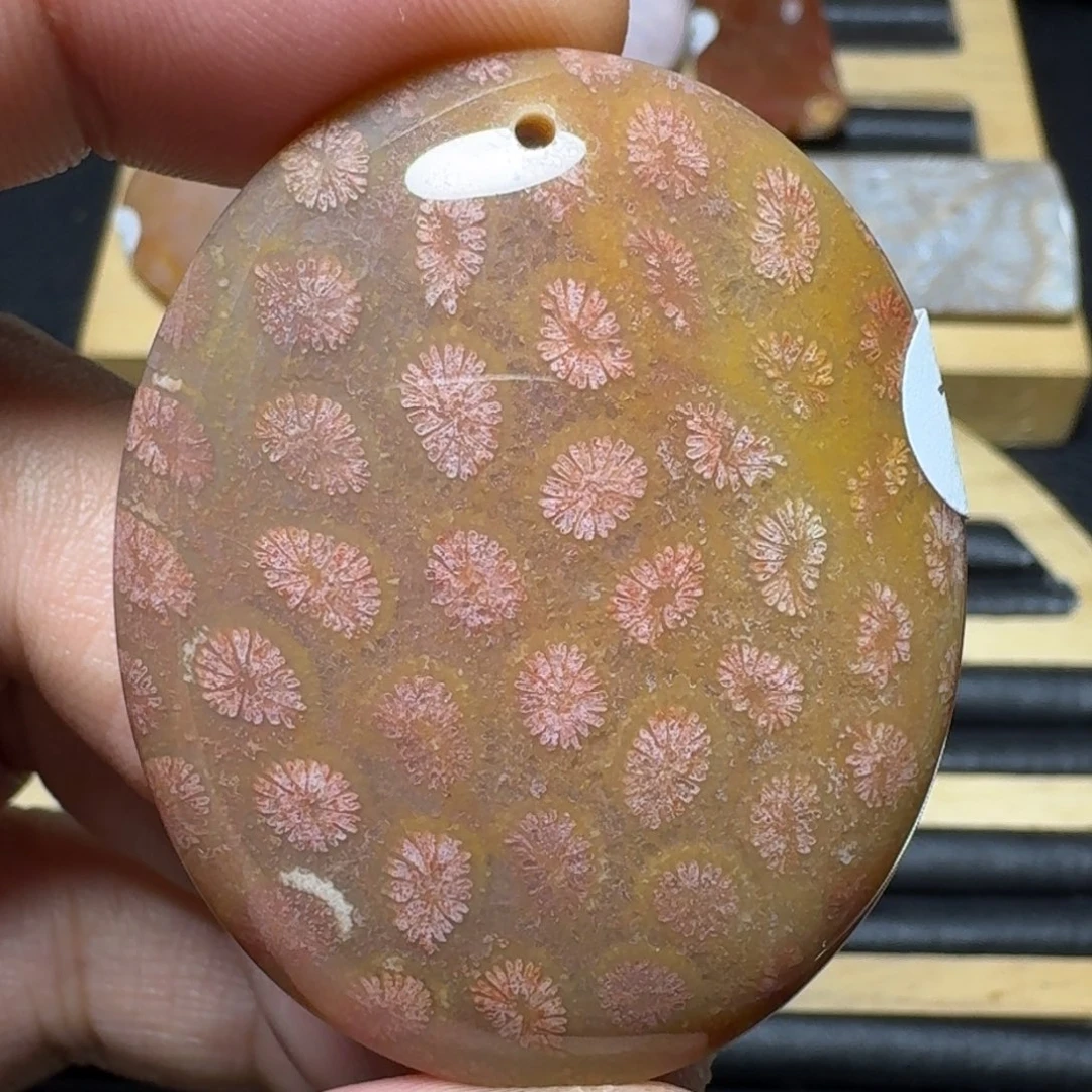 硅化珊瑚（珊瑚玉）纯天然色有机玉石未镶嵌