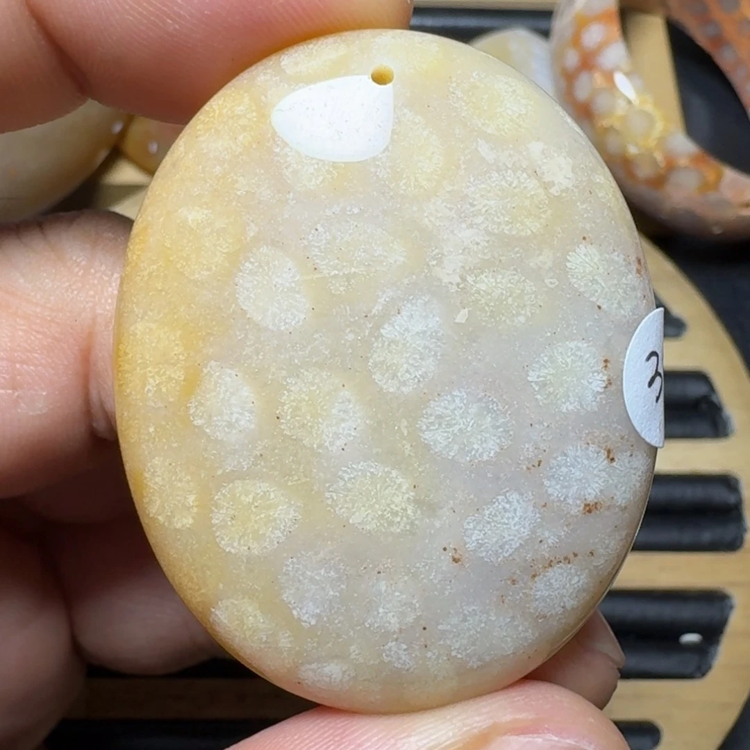 硅化珊瑚（珊瑚玉）纯天然色有机玉石未镶嵌