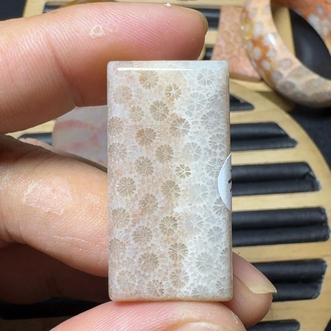 硅化珊瑚（珊瑚玉）纯天然色有机玉石未镶嵌