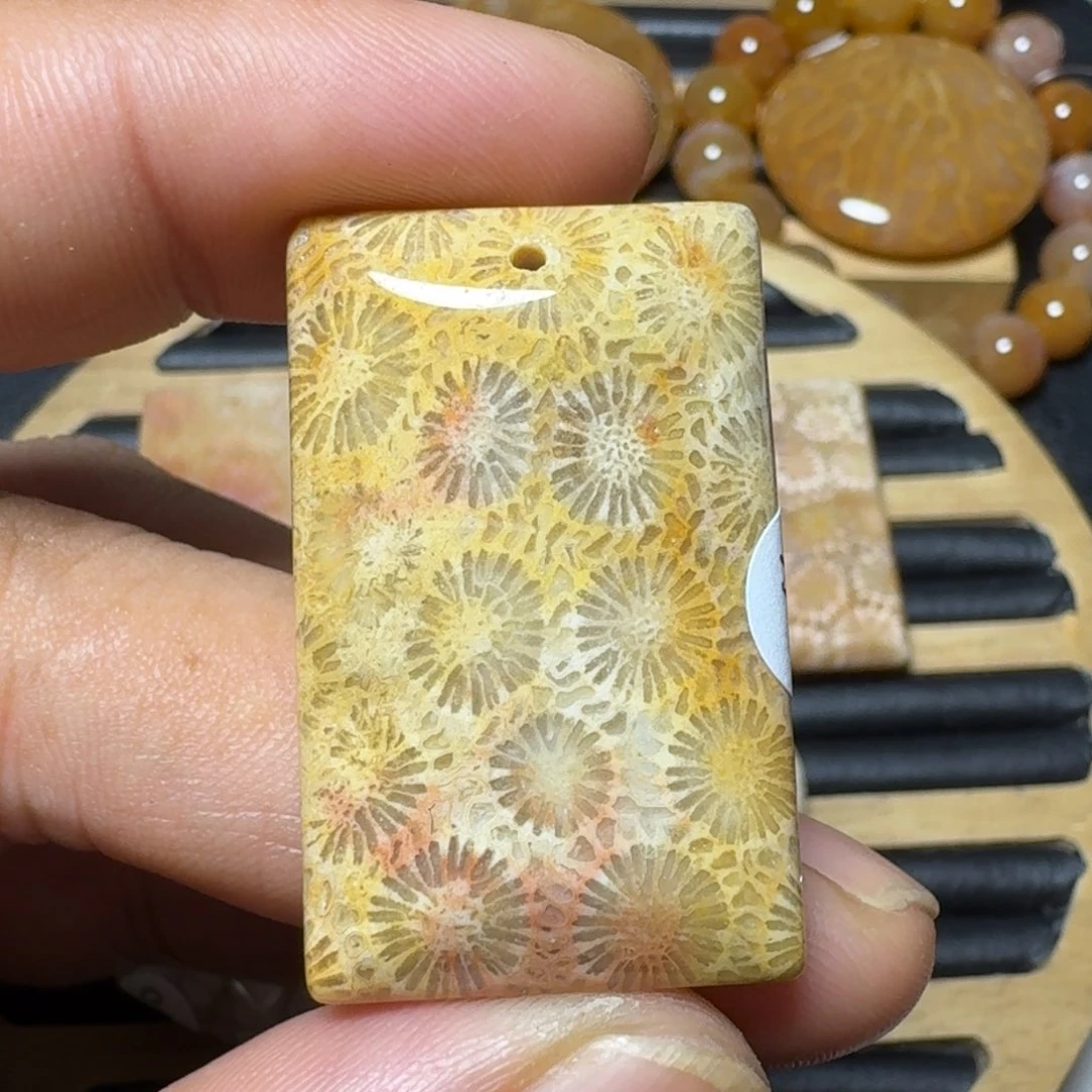 硅化珊瑚（珊瑚玉）纯天然色有机玉石未镶嵌