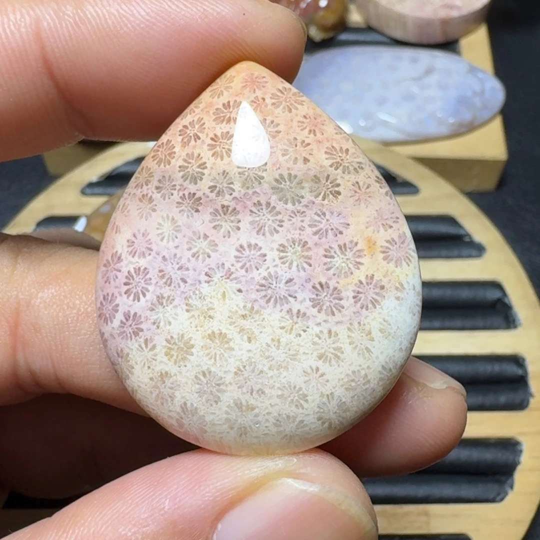 硅化珊瑚（珊瑚玉）纯天然色有机玉石未镶嵌