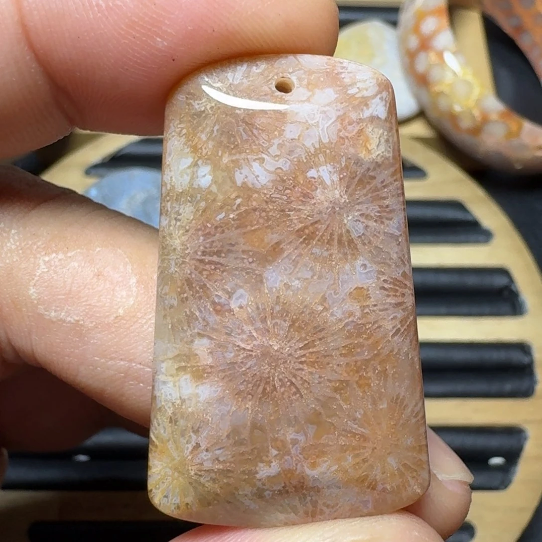 硅化珊瑚（珊瑚玉）纯天然色有机玉石未镶嵌