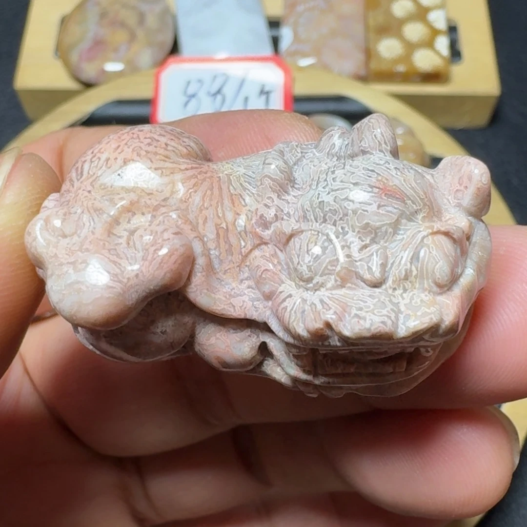 硅化珊瑚（珊瑚玉）纯天然色有机玉石未镶嵌
