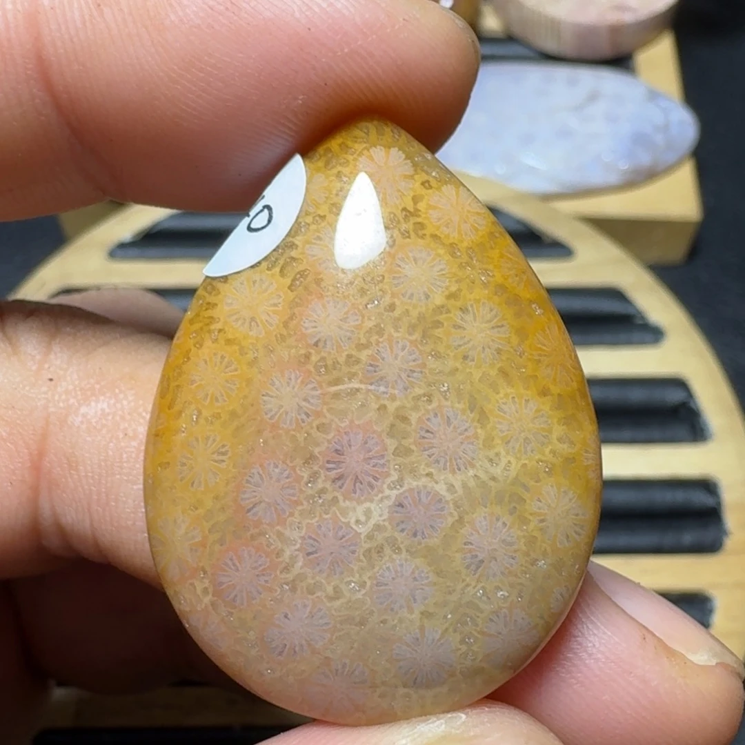 硅化珊瑚（珊瑚玉）纯天然色有机玉石未镶嵌