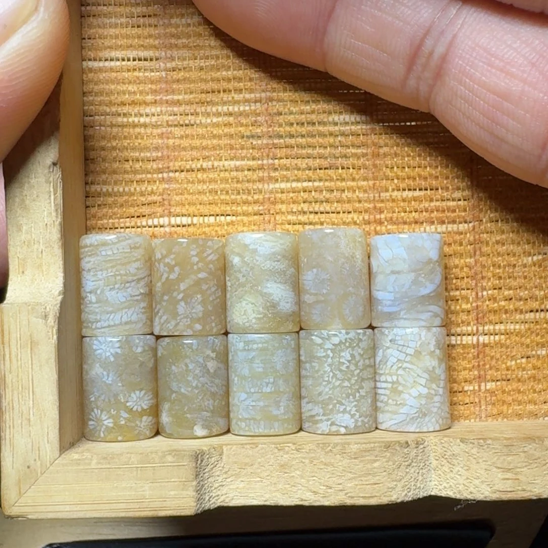硅化珊瑚（珊瑚玉）纯天然色有机玉石未镶嵌无瑕无隔珠