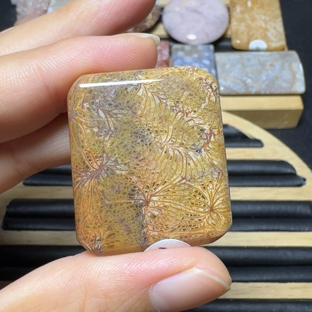 硅化玉3个50，看细再拍未镶嵌h****i