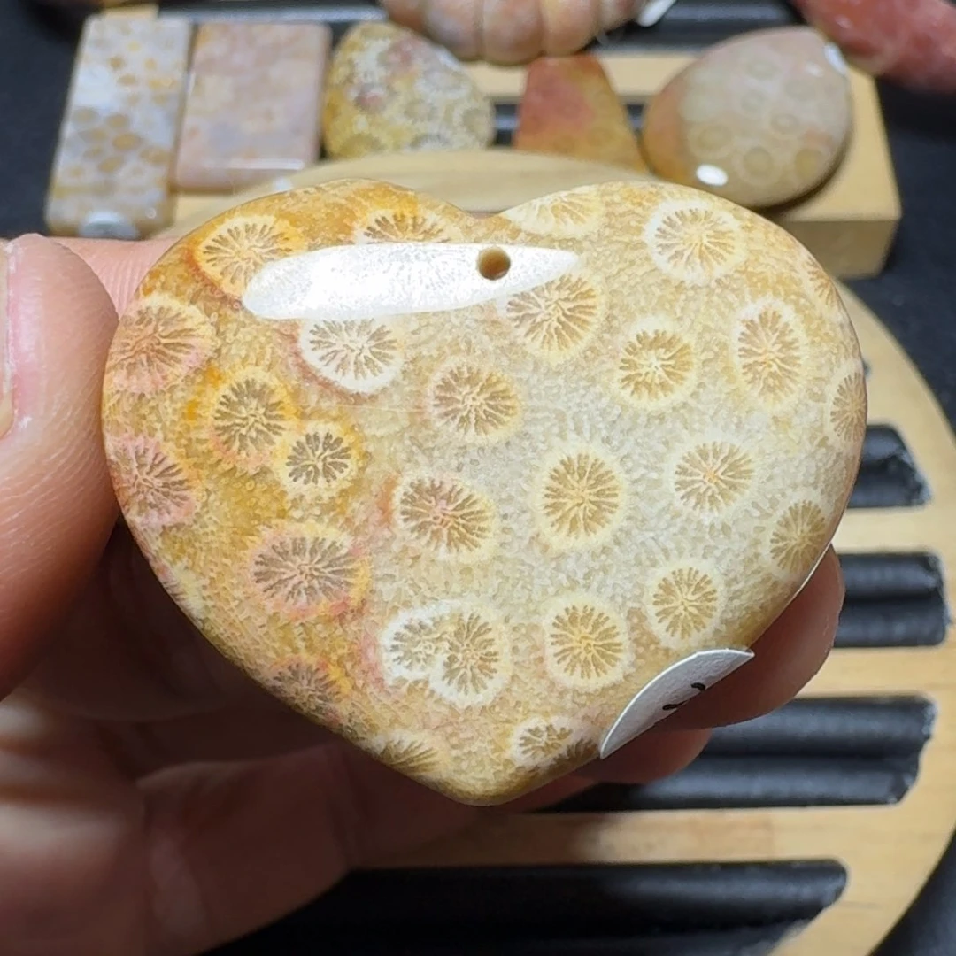 硅化珊瑚（珊瑚玉）纯天然色有机玉石未镶嵌