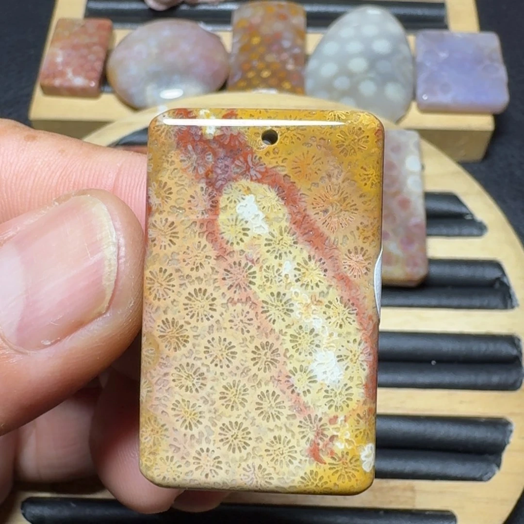 硅化珊瑚（珊瑚玉）纯天然色有机玉石未镶嵌