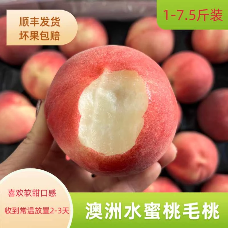 现货现发当季澳洲水蜜桃毛桃1-7.5斤甜桃子新鲜进口水果发顺丰
