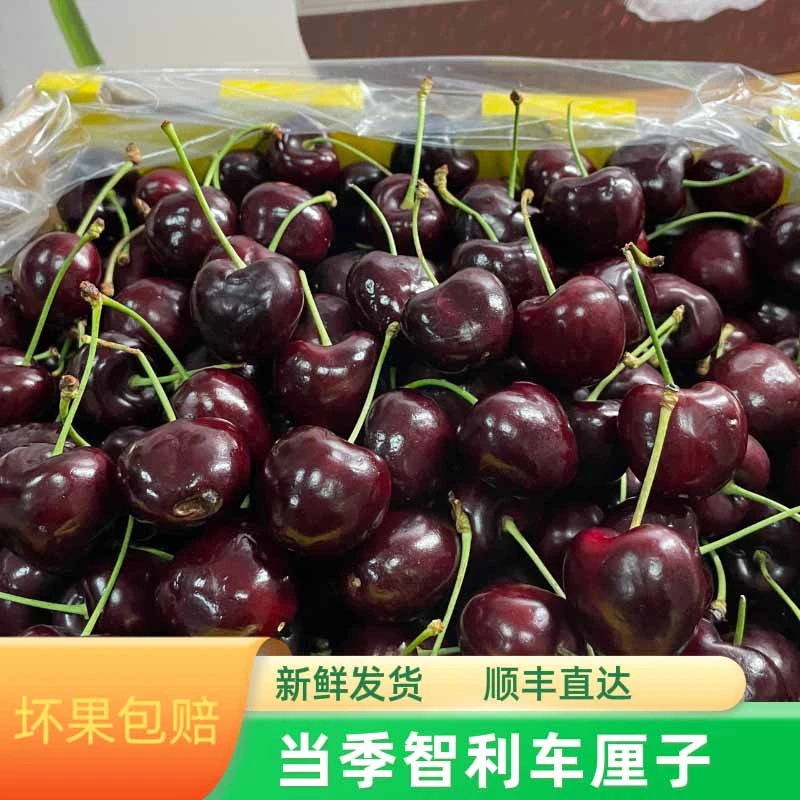 现货智利海运车厘子4.5斤原箱J-4J新鲜水果顺丰包邮 内附果径卡