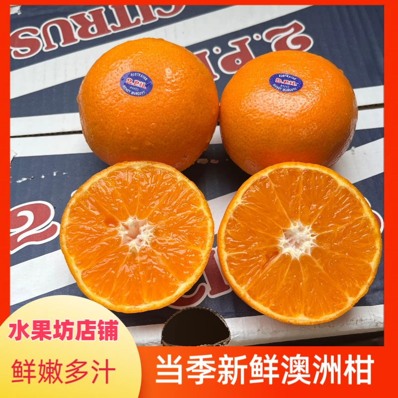 当季现货澳洲进口2PH澳柑鲜嫩多汁新鲜水果1-5斤装顺丰发货