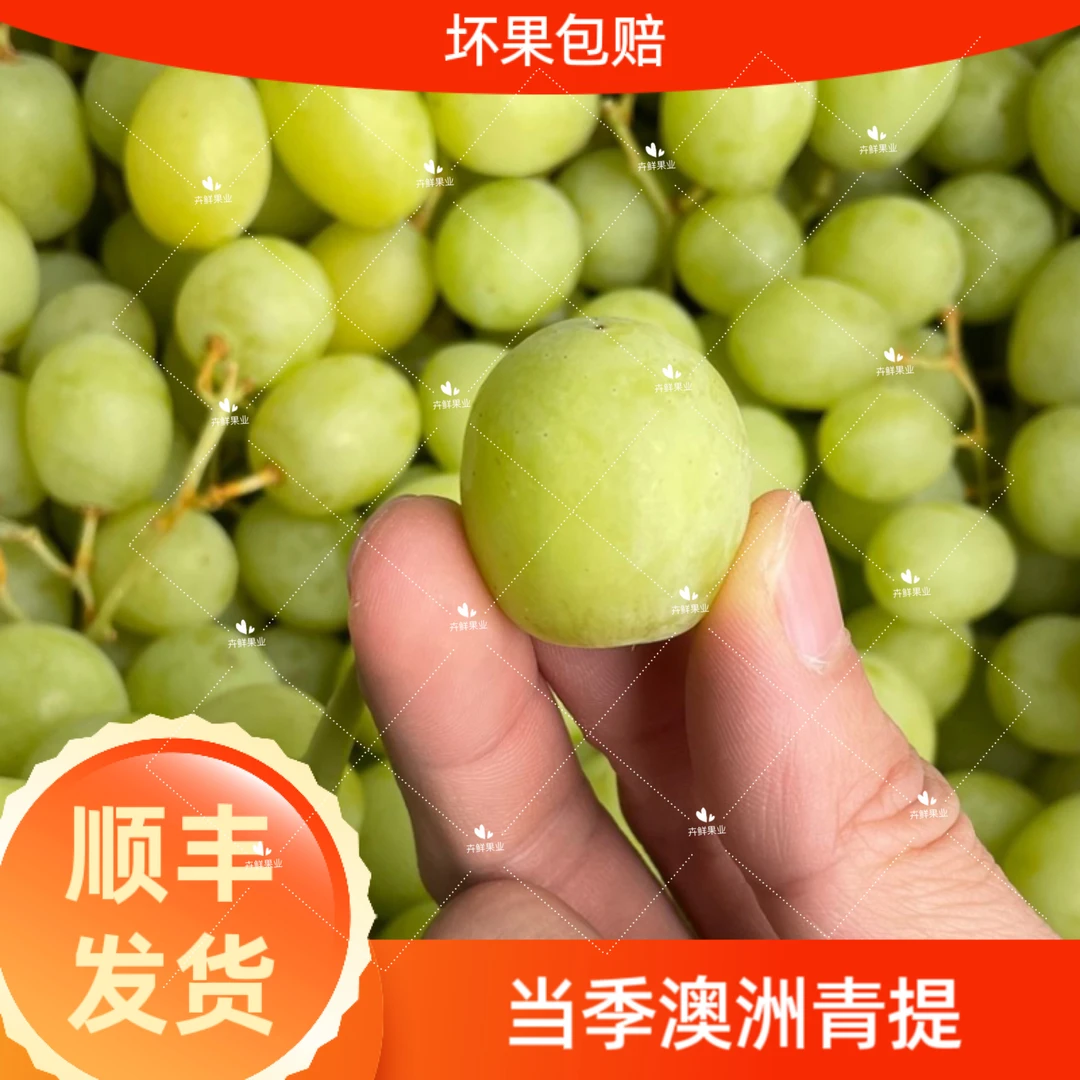 现货澳大利亚甜地球青提1-5斤新鲜进口葡萄提子时令水果发顺丰