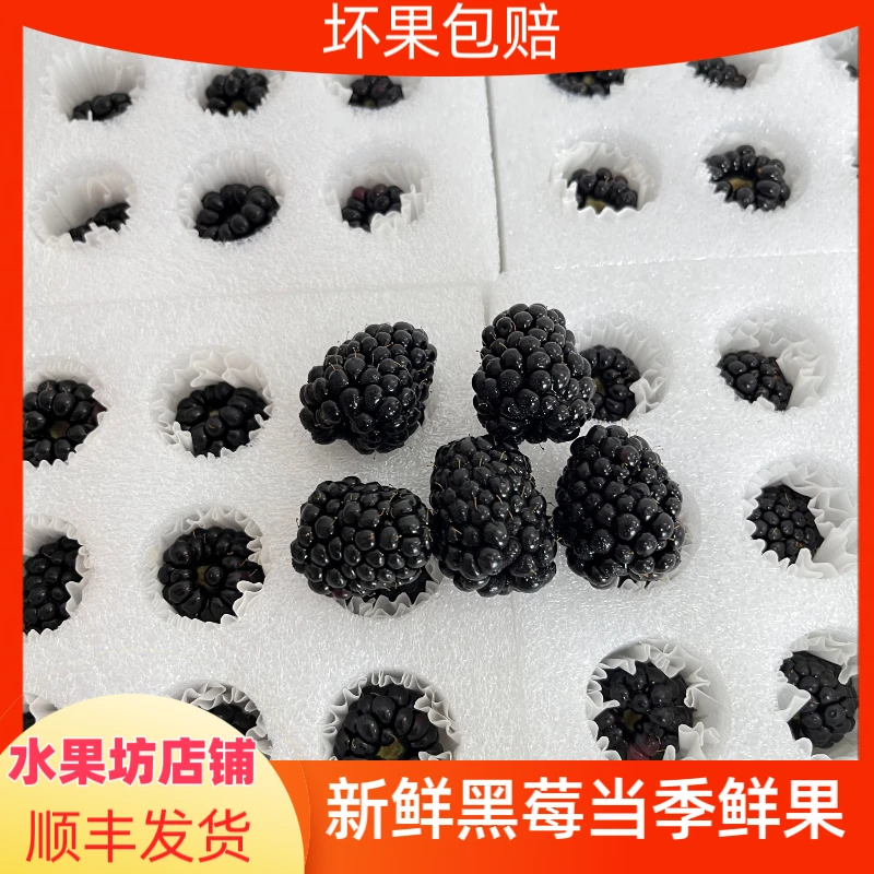 现货新鲜黑莓酸甜偏酸1份125克装网红覆盆子黑梅鲜果水果发顺丰
