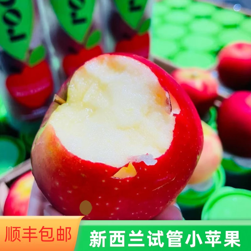 当季新西兰进口rockit试管小苹果1筒5个新鲜水果发顺丰245/350克