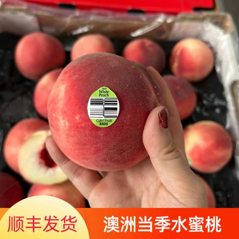 当季现货澳洲进口水蜜桃毛桃140-160克桃子6-12个水果桃子发顺丰