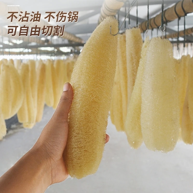 特长丝瓜络搓澡神器丝瓜筋洗澡洗碗抹布洗碗刷可煮水绿色不沾油