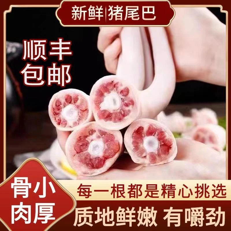 【顺丰包邮】新鲜猪尾巴土猪尾长尾笨猪中尾整根带皮猪尾干净包邮