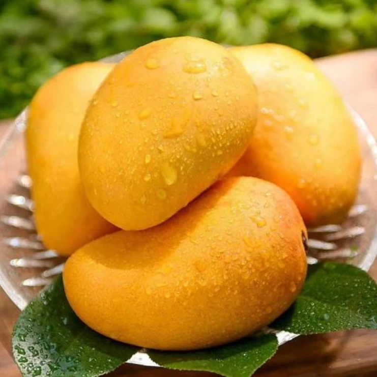 【五斤装】小台芒  果肉厚实好吃  一份五斤左右