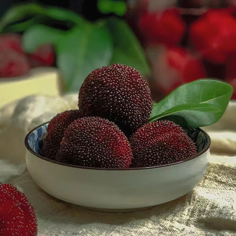 【两盒装】新鲜杨梅  自然成熟口感爆汁 单盒250g左右