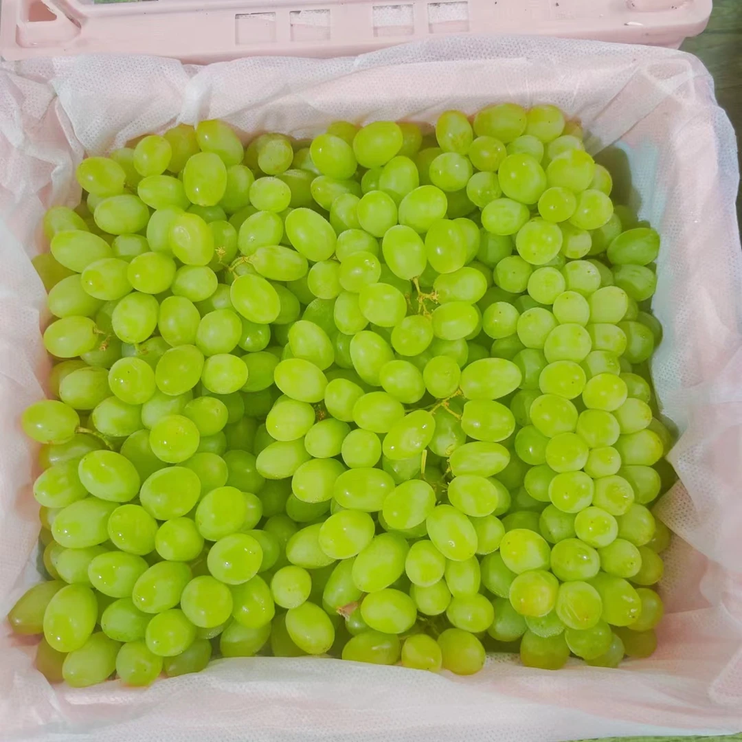 【新疆无核白葡萄】  脆甜口  带框4斤左右