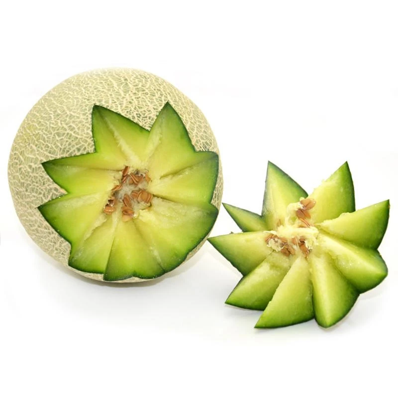 【冠哥甄选】蜜蜂网纹蜜瓜  果香浓郁 3颗/6颗带箱16.5斤左右