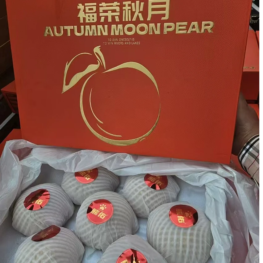 【红箱】橙色秋月梨 大果  一箱7颗 带箱8斤左右