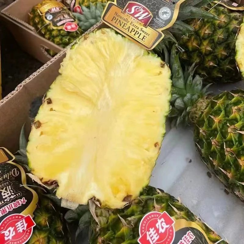 【菲律宾】SW凤梨 纯甜树上熟凤梨 一份3颗 单颗1.6斤左右