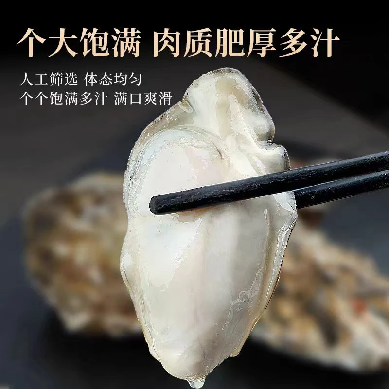 【两箱】嘎嘎肥的生蚝 鲜活肥美好吃烤着吃赠蒸着吃 一箱15个左右