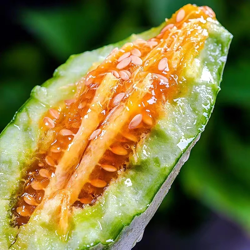羊角蜜瓜 甜瓜脆瓜 脆甜爽口 带箱5斤左右