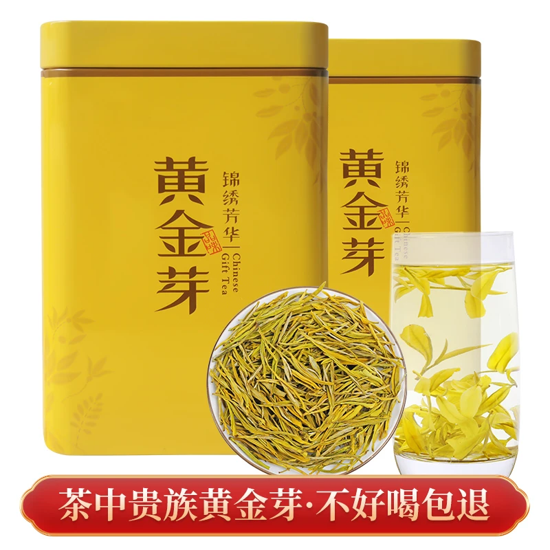 2024新茶珍藏黄金芽茶叶原产地高山浓香耐泡绿茶鲜爽绿茶