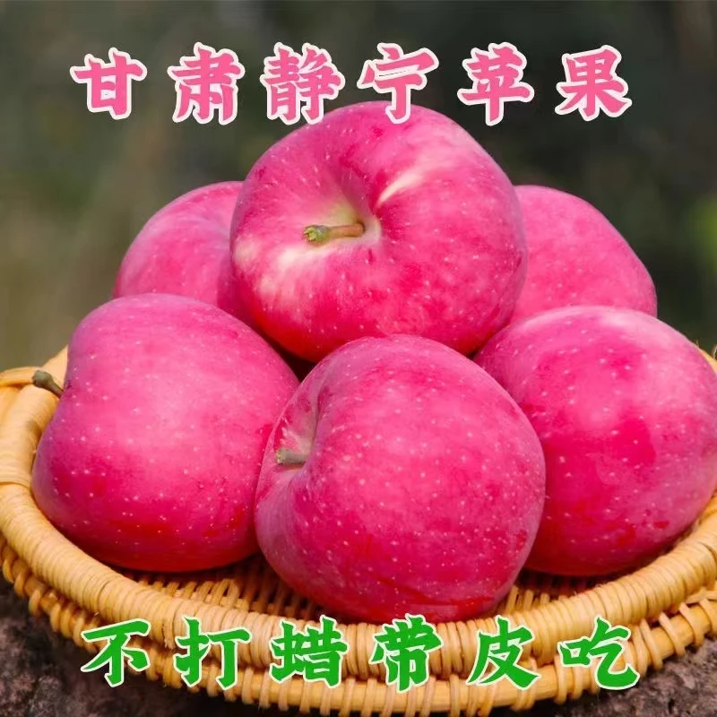 【顺丰包邮】25年甘肃静宁高海拔红富士果王脆甜多汁礼盒装6／7公斤