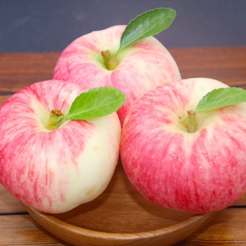 【顺丰包邮】25年甘肃世界一号应季早熟苹果粉粉面面整箱5/10斤