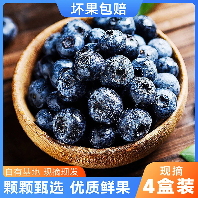 【四盒装】蓝莓基地产地直发新鲜采摘甄选大果好吃多汁脆甜冷链包邮
