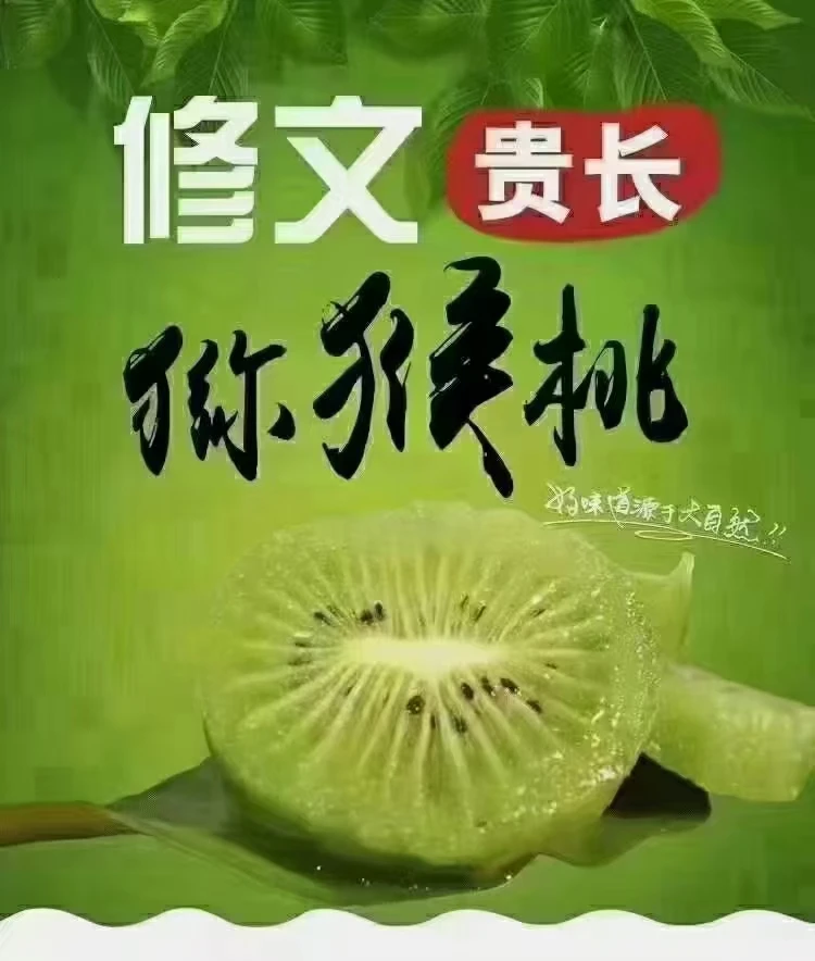 十斤装中果修文贵长猕猴桃中果绿心汁多肉嫩奇异果。新鲜