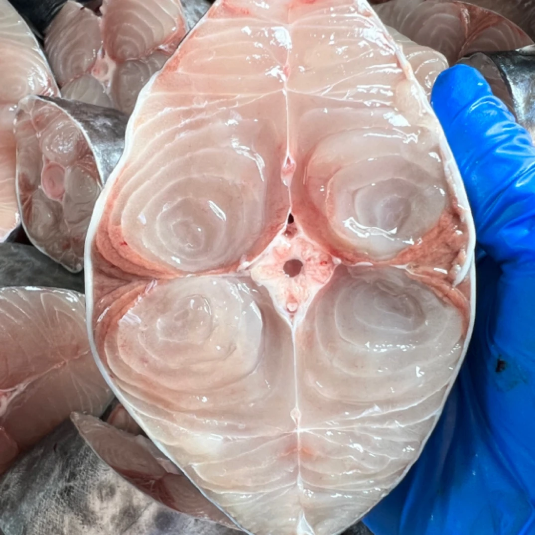 【渔三宝家】烟台发货 渤海湾大鲅鱼段 四斤速冻发货 顺丰到家