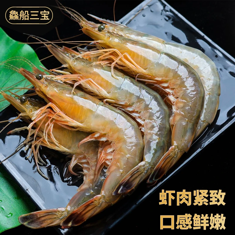 【渔三宝推荐】烟台直发渤海湾野生海捕大对虾 顺丰冷链