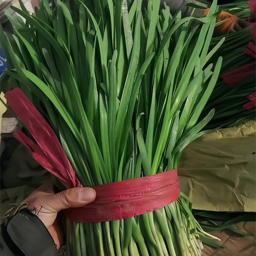 新鲜韭菜现割现发嫩韭菜农家自种蔬菜韭菜盒子水饺包子家常菜2斤