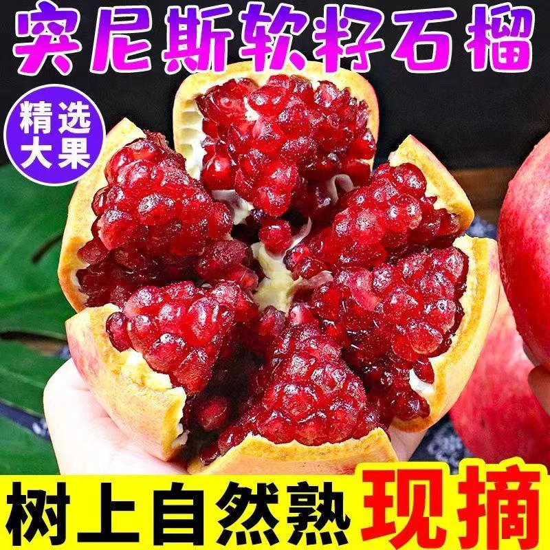 突尼斯软籽石榴现摘现发水果无籽石榴四川会理软籽甜石榴8斤5斤