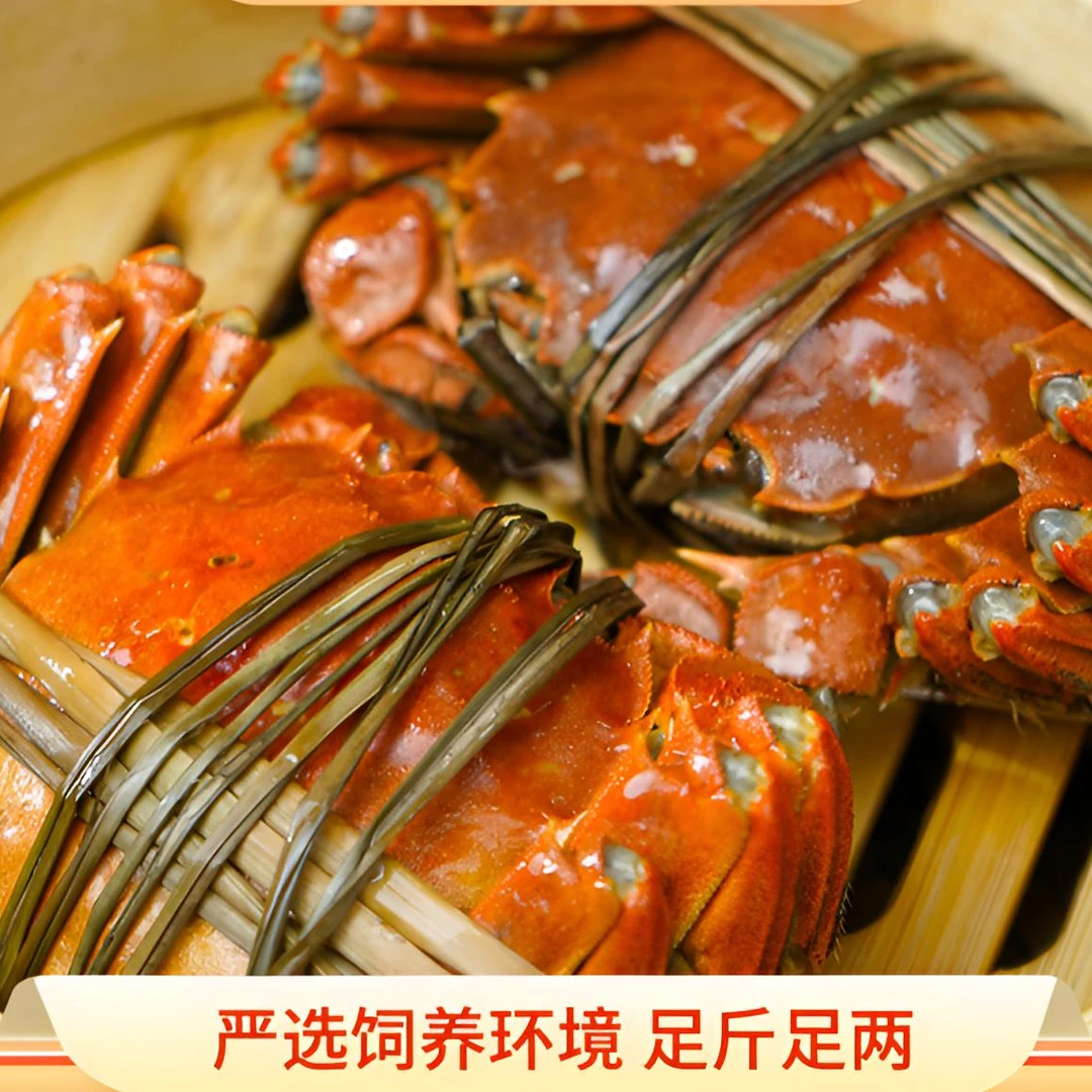 【溱湖簖蟹】爬强头江苏溱湖大闸蟹2.0-1.7两全母蟹10只装(精)