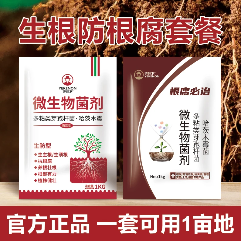 生根防根腐套餐微生物菌剂多粘类芽孢杆菌哈茨木霉菌生防改良土壤